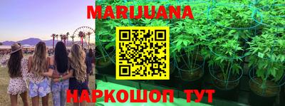 мдпв Ярославль
